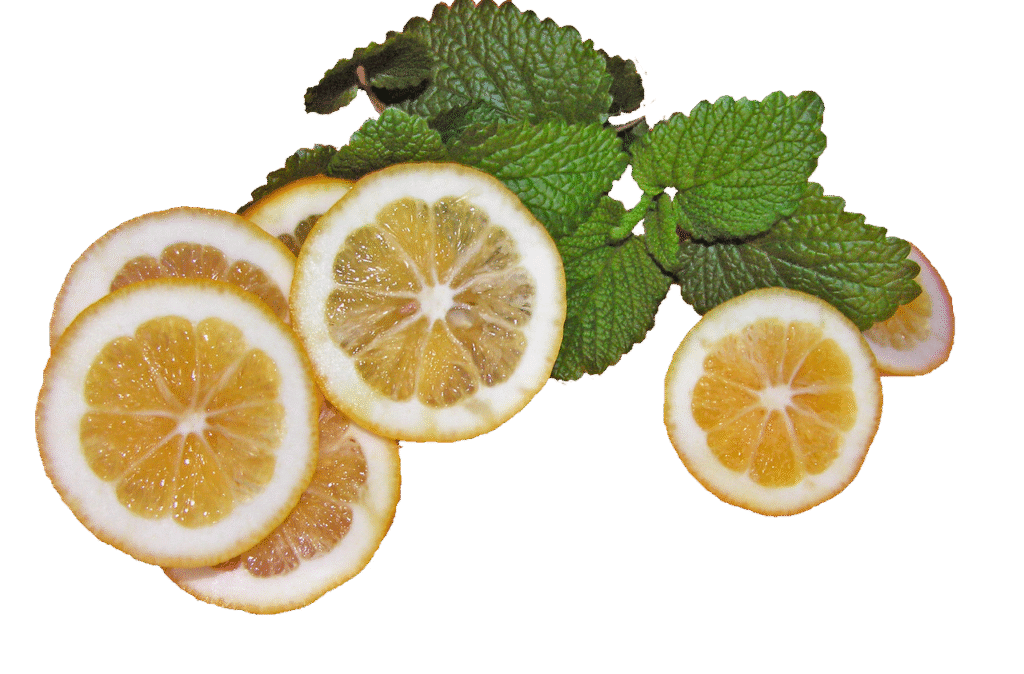 Lemon balm tea