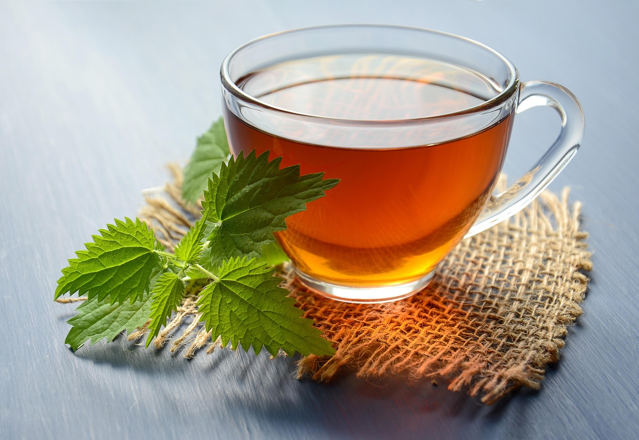 tea, drink, herbal, nettle, hot, mug, cup, to relax, glass cup, healthy, therapy, useful, tea cup, delicious, ethnoscience, medicinal plant
