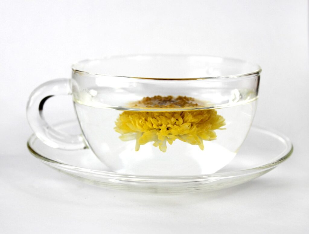 cup, tea cup, tea, chrysanthemum tea