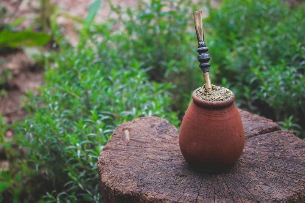 Earthenware pot with yerba mate on a tree stump surrounded by greenery.